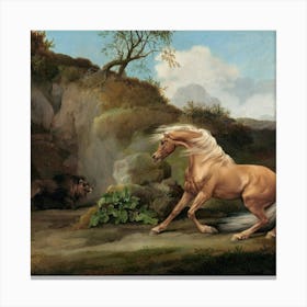 Horse And A Bear Canvas Print