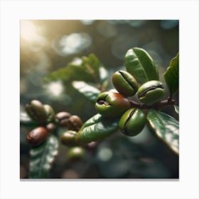 Coffee Beans On A Branch 5 Canvas Print