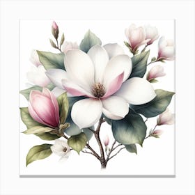 Magnolia Canvas Print