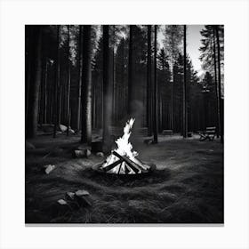 Campfire In The Woods 2 Canvas Print