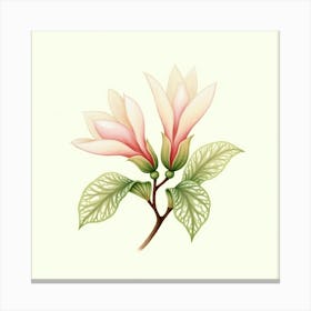 Flux Dev Delicate Magnolia Buds Rendered In Soft Dreamy Waterc 0 Stampe su tela