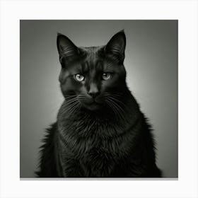 Black Cat Portrait 1 Canvas Print