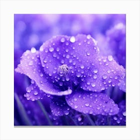 Purple Flower With Water Droplets Canvas Print
