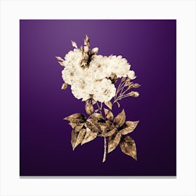 Gold Botanical Noisette Roses on Royal Purple n.2160 Canvas Print