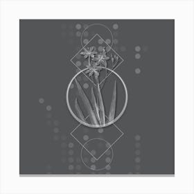 Vintage Blackberry Lily Botanical with Line Motif and Dot Pattern in Ghost Gray n.0263 Canvas Print
