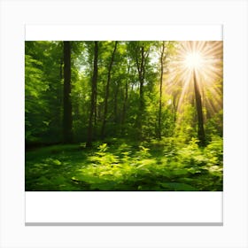 Sun In The Forest Canvas Print