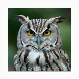 Owl With Yellow Eyes Canvas Print