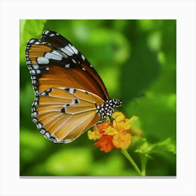 Butterfly - Butterfly Stock Videos & Royalty-Free Footage Canvas Print