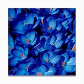 The Indigo Garden Botanical Fine Art Print Canvas Print