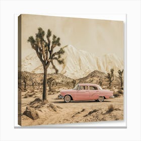 Joshua Tree 3 Canvas Print