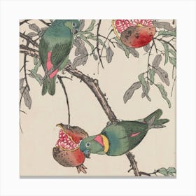 Two Parrots On A Pomegranate Tree Canvas Print