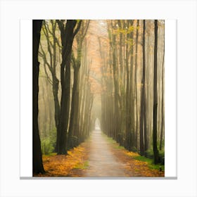 Foggy Forest Path Canvas Print