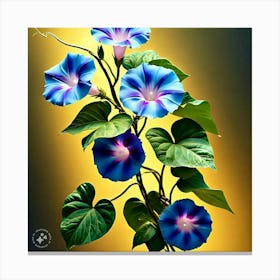 Morning Glory 1 Canvas Print