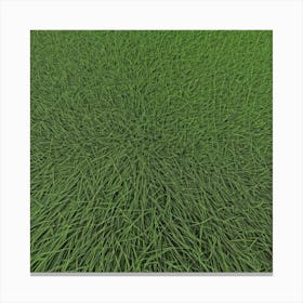 Grass Field 4 Canvas Print