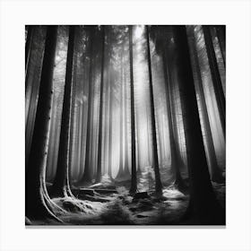 Forest 38 Canvas Print