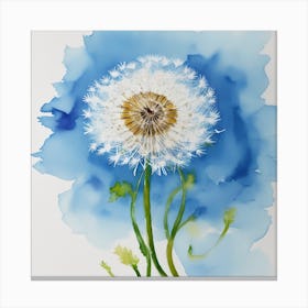 Dandelion 1 Canvas Print