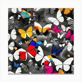 Colorful Butterflies On A Black Background Canvas Print