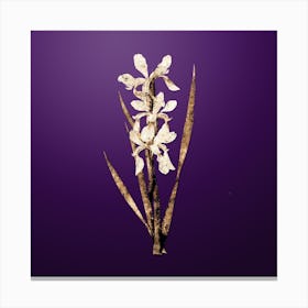 Gold Botanical Yellow Banded Iris on Royal Purple Canvas Print