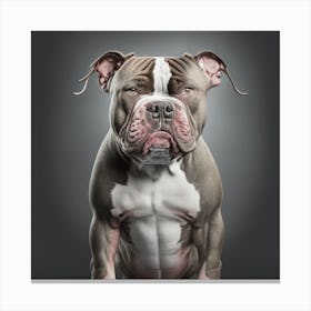 Bulldog Portrait 2 Canvas Print