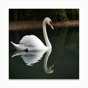 Swan In Water2 Canvas Print