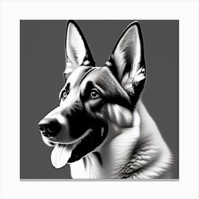 German Shepherd Dog Portrait Canvas Print