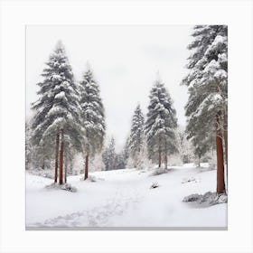 Snowy Forest Canvas Print