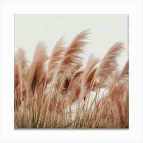 Pink Reeds Canvas Print