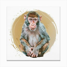 Chimpanzee 3 Canvas Print