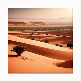 Desert Landscape 57 Canvas Print