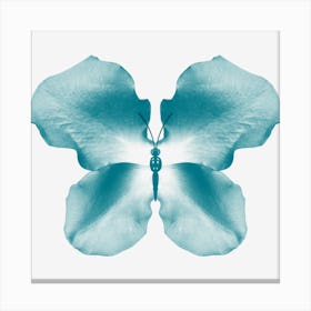 Teal Rose Petal Butterfly Canvas Print