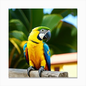 Colorful Parrot 1 Canvas Print