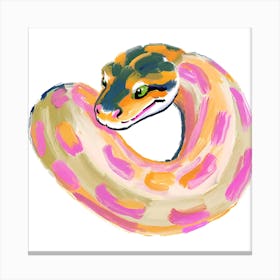 Ball Python Snake 08 Canvas Print