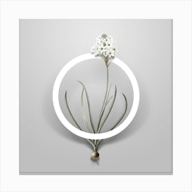 Vintage Arabian Starflower Minimalist Floral Geometric Circle on Soft Gray n.0388 Canvas Print