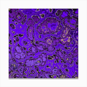 Purple And Gold 2 Canvas Print