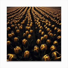 Golden Tulips 2 Canvas Print