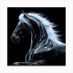 Creative Horse Beauty Illustration Nr 90 Canvas Print