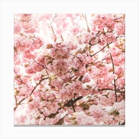 Blossoms Square Canvas Print