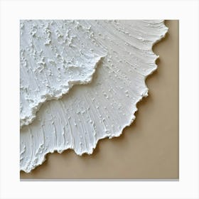 White Shells Canvas Print