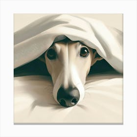 Whippet / Greyhound Snoozing Under Blanket / Peaking Sighthound in Neutral Tones Canvas Print