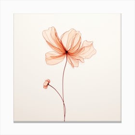 Poppy 1 Canvas Print