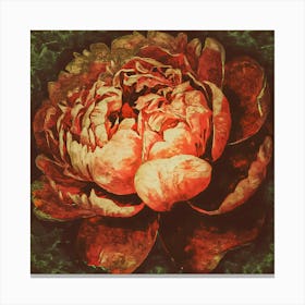 Peony 1 Canvas Print