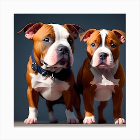 Bull Dogs  Canvas Print