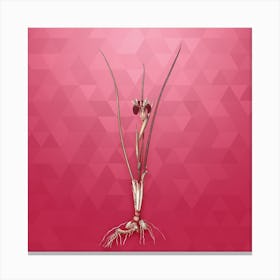 Vintage Snake's Head Botanical in Gold on Viva Magenta n.0178 Canvas Print