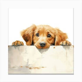 Retriever Golden 1 Canvas Print