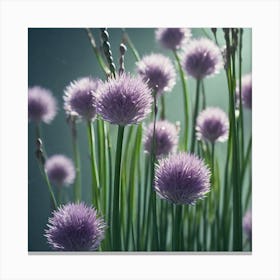 Chives 4 Canvas Print