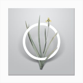 Vintage Iris Martinicensis Minimalist Flower Geometric Circle on Soft Gray n.0348 Canvas Print