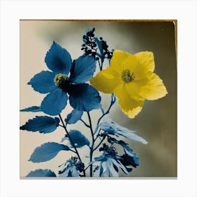 A Mondern Art Photography In Style Anna Atkins (3) Canvas Print