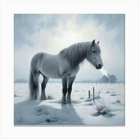 Snow Horse Canvas Print