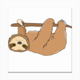 Sloth Hanging On A Branch Canvas Print