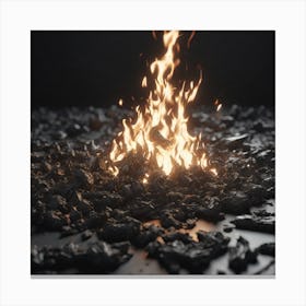 Fire On The Ground Canvas Print